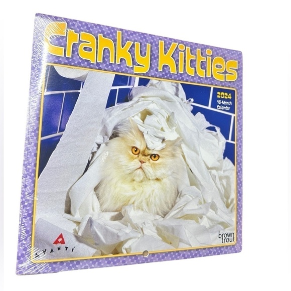 BrownTrout Publishers, Inc. Other - 2024 Cranky Kitties 16-Month Calendar (NWT) 😺